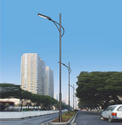 1742826552130999.jpg 庄浪LED路灯.jpg